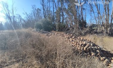 Agrícola en Venta en Ovalle