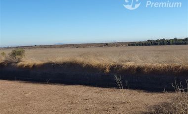 Agrícola en Venta en Ovalle