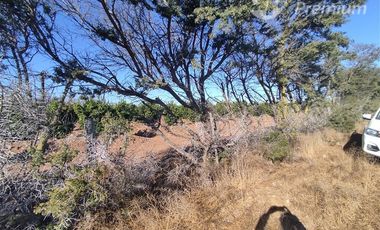 Agrícola en Venta en Ovalle