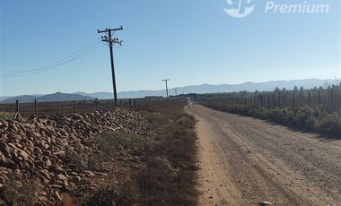 Agrícola en Venta en Ovalle
