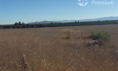 Agrícola en Venta en Ovalle