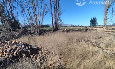 Agrícola en Venta en Ovalle
