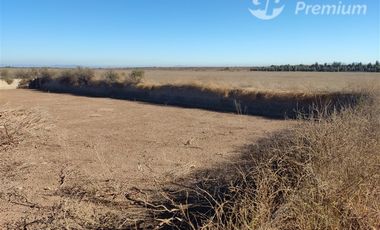 Agrícola en Venta en Ovalle