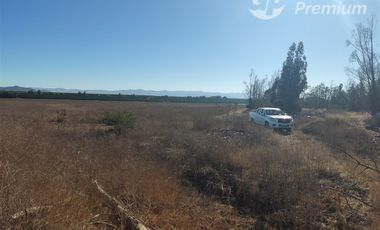 Agrícola en Venta en Ovalle