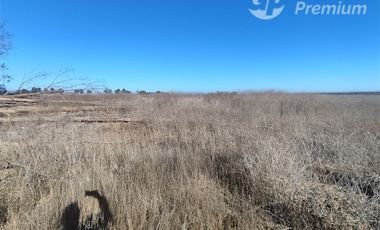 Agrícola en Venta en Ovalle