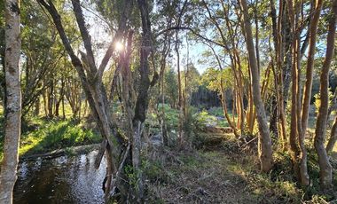 Parcela en Venta en Planchado de Los Indios - Los Muermos
