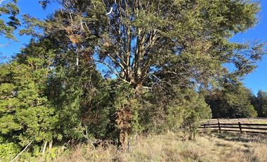 Parcela en Venta en Planchado de Los Indios - Los Muermos