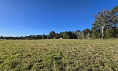 Parcela en Venta en Planchado de Los Indios - Los Muermos