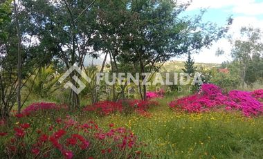 Parcela en Venta en camino Las Tinajas / El Queule