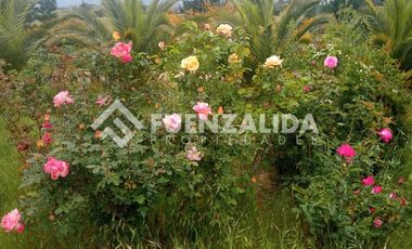 Parcela en Venta en camino Las Tinajas / El Queule