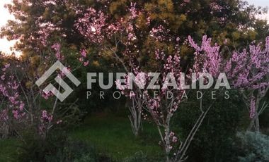 Parcela en Venta en camino Las Tinajas / El Queule