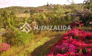 Parcela en Venta en camino Las Tinajas / El Queule