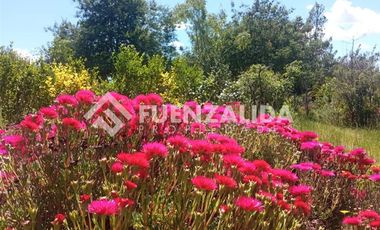 Parcela en Venta en camino Las Tinajas / El Queule