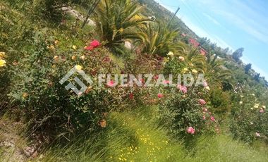 Parcela en Venta en camino Las Tinajas / El Queule