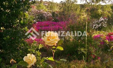 Parcela en Venta en camino Las Tinajas / El Queule