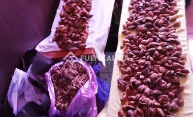 Parcela en Venta en camino Las Tinajas / El Queule