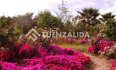 Parcela en Venta en camino Las Tinajas / El Queule