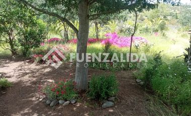 Parcela en Venta en camino Las Tinajas / El Queule