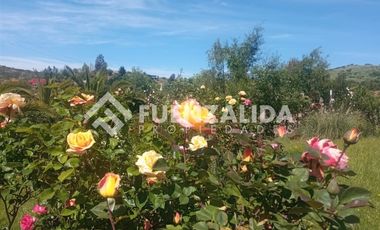 Parcela en Venta en camino Las Tinajas / El Queule