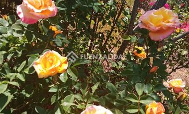 Parcela en Venta en camino Las Tinajas / El Queule