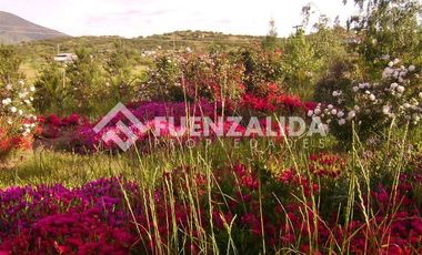 Parcela en Venta en camino Las Tinajas / El Queule