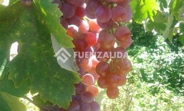 Parcela en Venta en camino Las Tinajas / El Queule