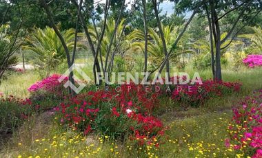 Parcela en Venta en camino Las Tinajas / El Queule