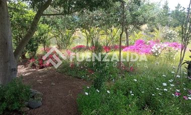 Parcela en Venta en camino Las Tinajas / El Queule