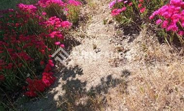 Parcela en Venta en camino Las Tinajas / El Queule