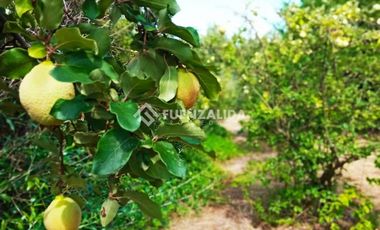 Parcela en Venta en camino Las Tinajas / El Queule