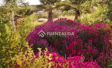 Parcela en Venta en camino Las Tinajas / El Queule