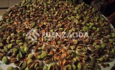 Parcela en Venta en camino Las Tinajas / El Queule