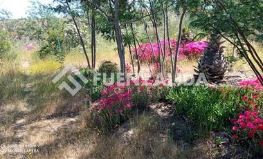 Parcela en Venta en camino Las Tinajas / El Queule