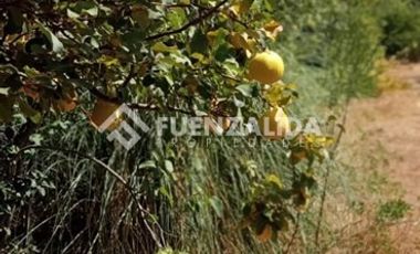 Parcela en Venta en camino Las Tinajas / El Queule