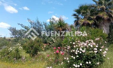 Parcela en Venta en camino Las Tinajas / El Queule