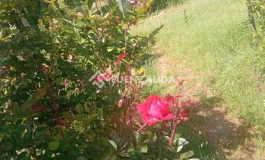 Parcela en Venta en camino Las Tinajas / El Queule