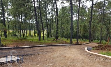 Terreno en Boskania  ubicado dentro  Bosque de Atemajac de Brizuela