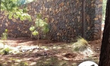 Terreno en Boskania  ubicado dentro  Bosque de Atemajac de Brizuela