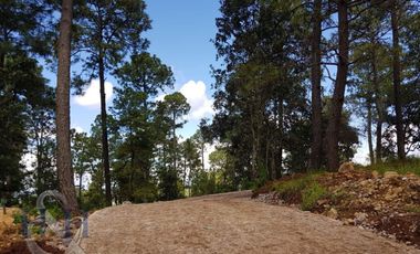 Terreno en Boskania  ubicado dentro  Bosque de Atemajac de Brizuela
