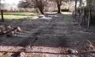 ¡Oportunidad única Campo de 104 hectáreas en Coihueco!