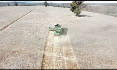 ¡Oportunidad única Campo de 104 hectáreas en Coihueco!