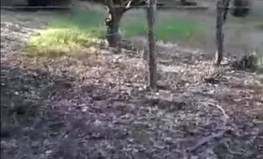 ¡Oportunidad única Campo de 104 hectáreas en Coihueco!