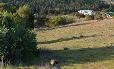 Parcela en Venta en Lomas de Marchihue