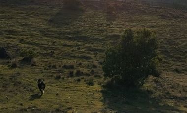 Parcela en Venta en Lomas de Marchihue