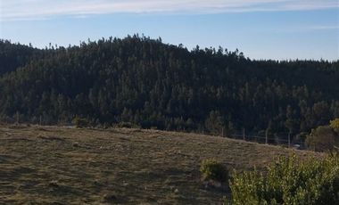 Parcela en Venta en Lomas de Marchihue