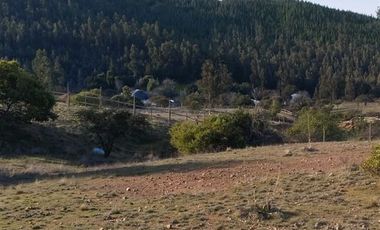 Parcela en Venta en Lomas de Marchihue
