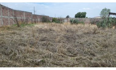 TERRENO EN VENTA EL CID TIZAYUCA