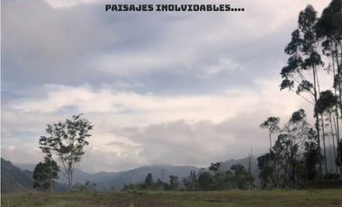 venta lote Antioquia retiro valorización parcelación lujo luxury