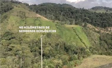 venta lote Antioquia retiro valorización parcelación lujo luxury