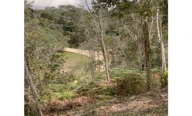 venta lote Antioquia retiro valorización parcelación lujo luxury